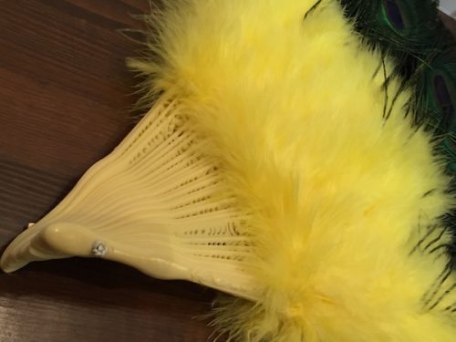 PeacockFan-6