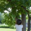 いつも自然はそばにいる…