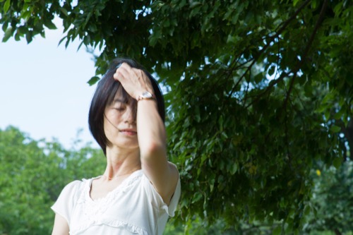 堀 紀久美