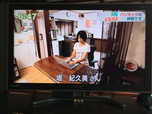 NHKまちかど情報室　ハンモックピロー