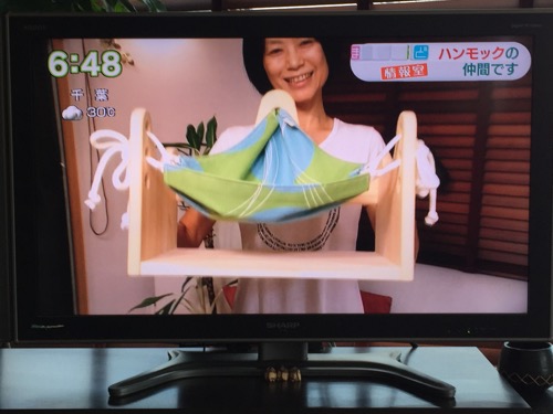 NHKまちかど情報室　ハンモックピロー