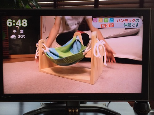 NHKまちかど情報室　ハンモックピロー