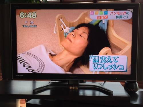 NHKまちかど情報室　ハンモックピロー