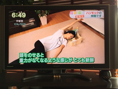 NHKまちかど情報室　ハンモックピロー