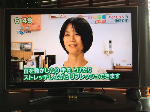 NHKまちかど情報室　ハンモックピロー