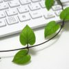 自宅学習：ホームページ作成講座のお知らせ